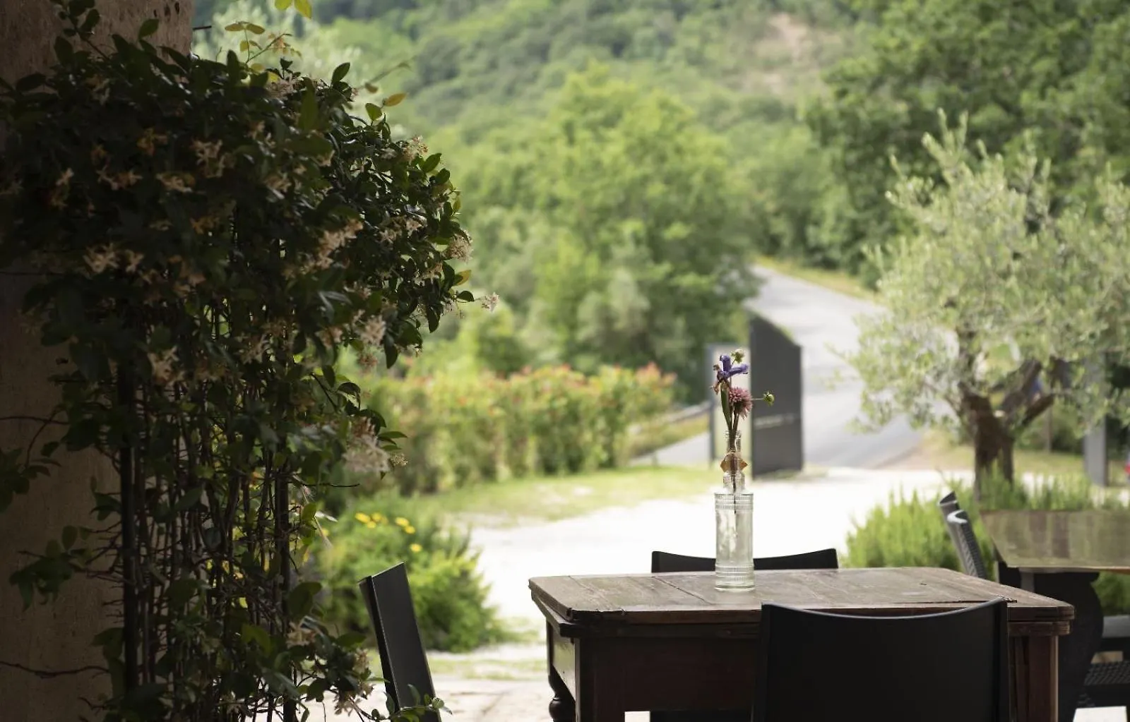Societa Agricola Scerba Srl Villa Montemagno  Montemagno (Pistoia)